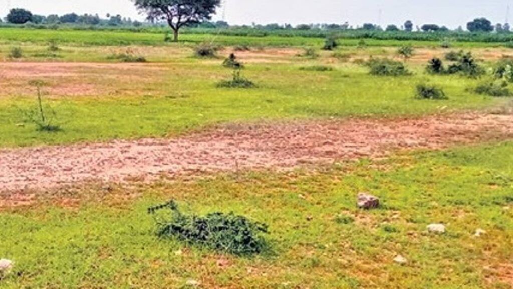 KPHB plots Auction
