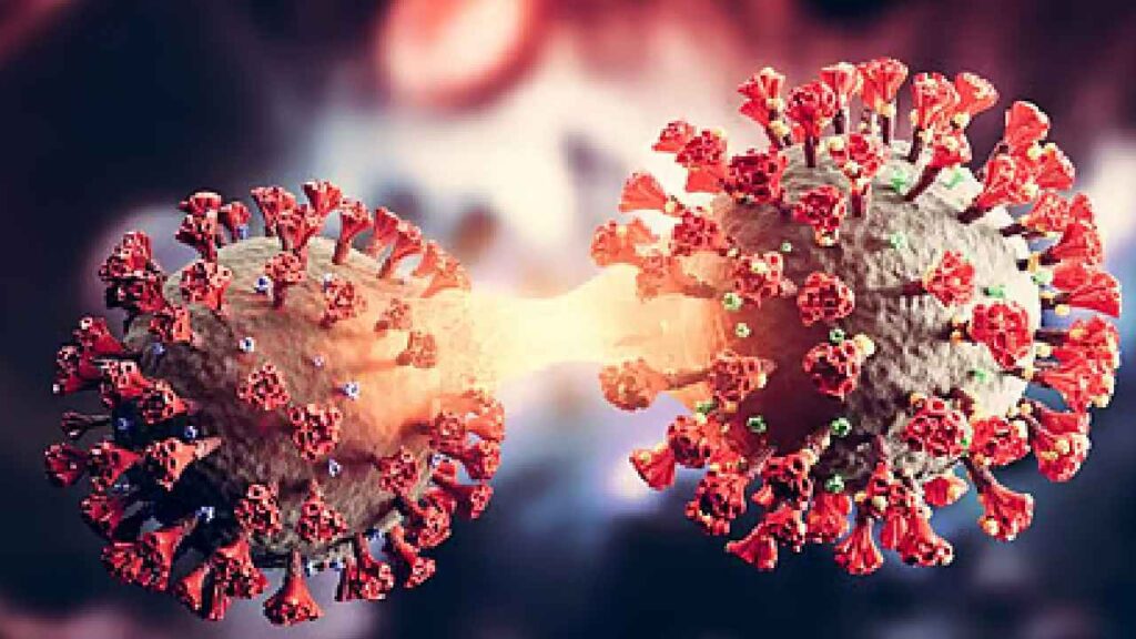 New Coronavirus