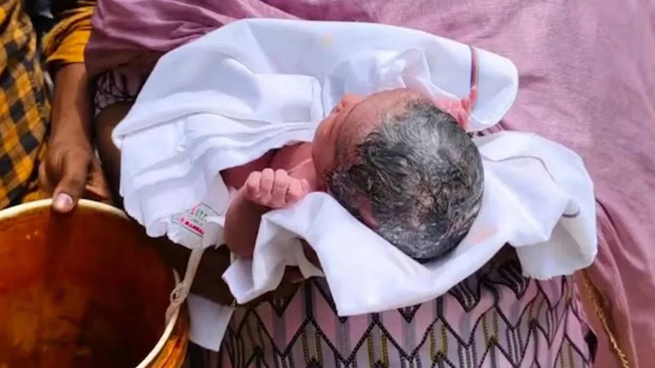అడవిలో చెట్టుకొమ్మకు ప్లాస్టిక్ కవర్లో వేలాడుతూ పసికందు.. రోదన విని అక్కడికెళ్లిన యువకుడు.. ఆ తరువాత ఏం జరిగిందంటే..? అడవిలో చెట్టుకొమ్మకు ప్లాస్టిక్ కవర్లో వేలాడుతూ పసికందు.. రోదన విని అక్కడికెళ్లిన యువకుడు.. ఆ తరువాత ఏం జరిగిందంటే..?