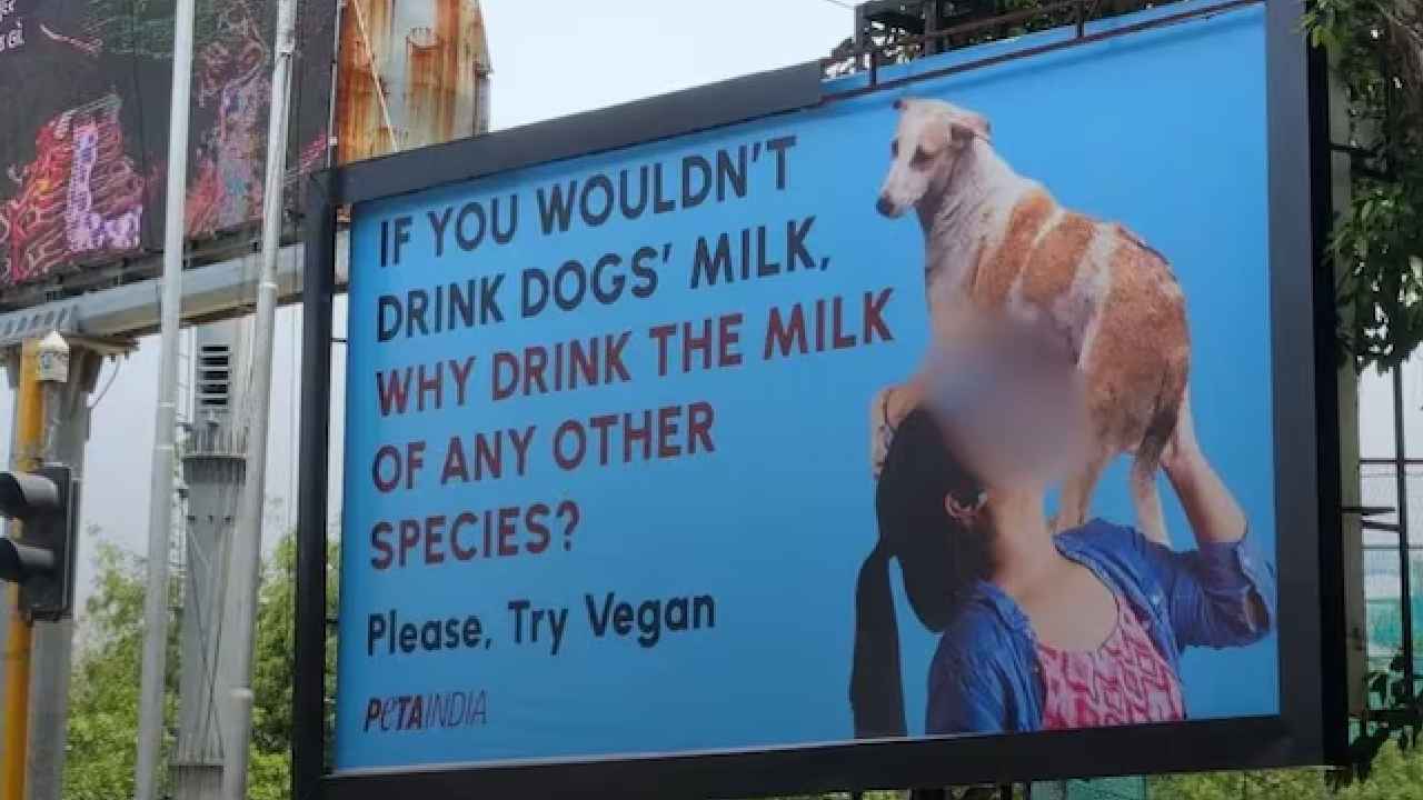 PETA Ad Controversy: కుక్క పాలు తాగుతున్న మహిళ.. పెటా యాడ్పై రచ్చరచ్చ.. నెటిజన్ల తీవ్ర ఆగ్రహం.. PETA Ad Controversy: కుక్క పాలు తాగుతున్న మహిళ.. పెటా యాడ్పై రచ్చరచ్చ.. నెటిజన్ల తీవ్ర ఆగ్రహం..