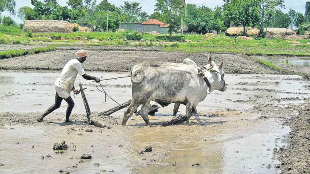 Rythu Bharosa Scheme
