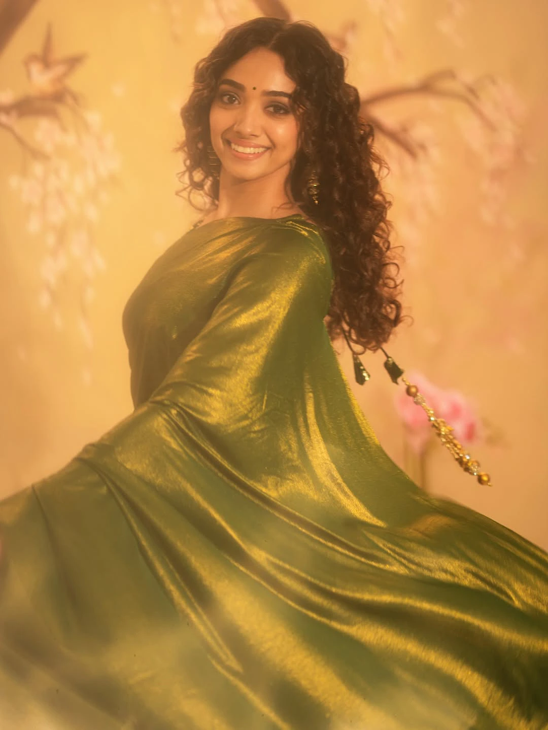 Saanve Megghana Shines in Saree