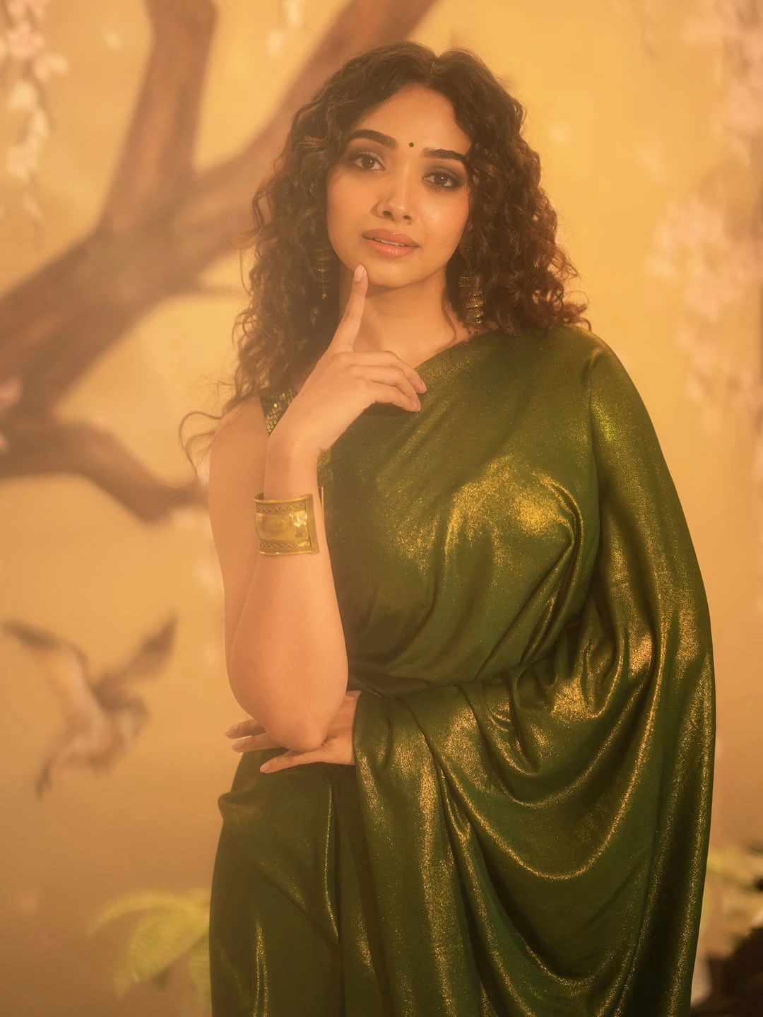 Saanve Megghana Shines in Saree