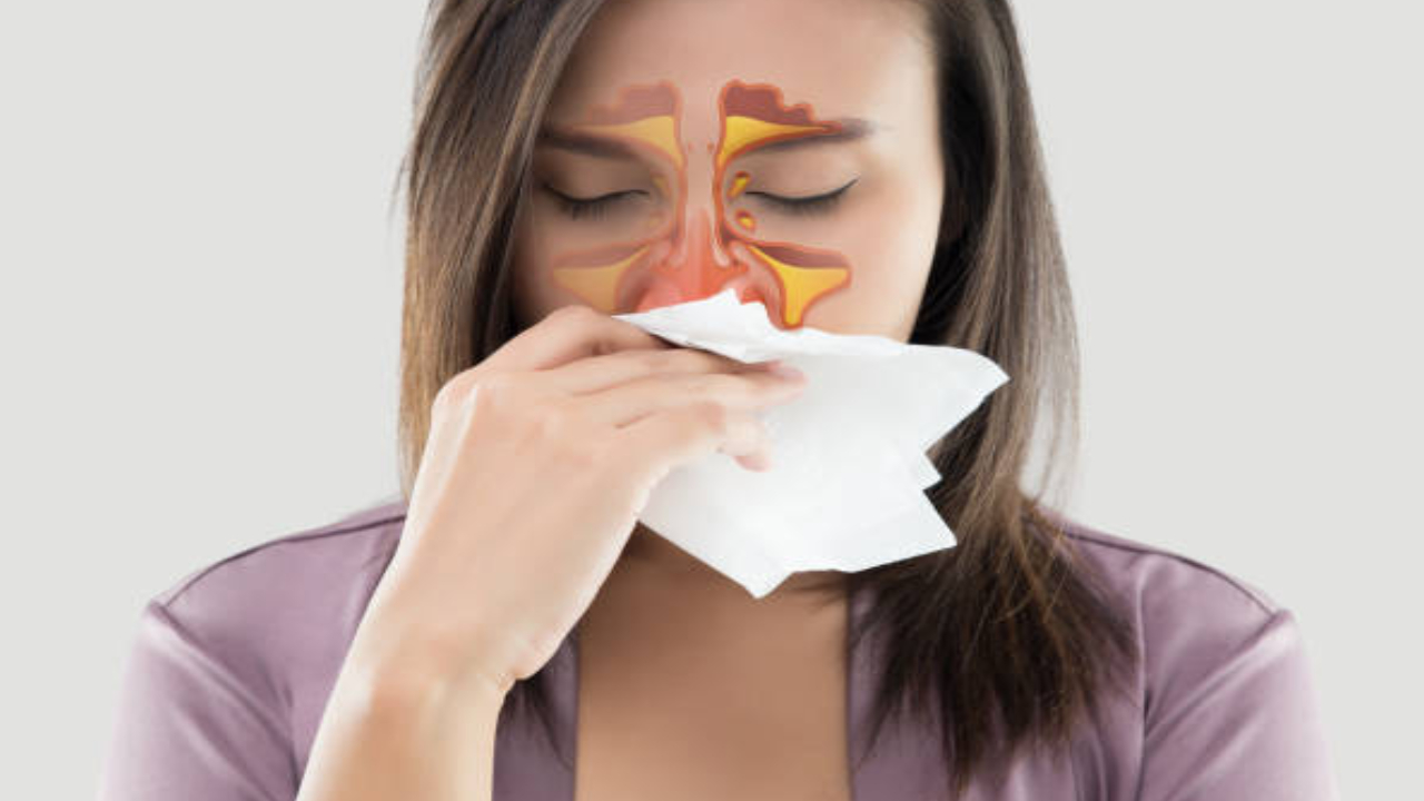 Sinusitis: వర్షాకాలంలో సైనసైటిస్ సమస్య.. శ్వాసలో ఇబ్బంది, ముఖంపై వాపు.. నిర్లక్ష్యం వద్దు Sinusitis: వర్షాకాలంలో సైనసైటిస్ సమస్య.. శ్వాసలో ఇబ్బంది, ముఖంపై వాపు.. నిర్లక్ష్యం వద్దు