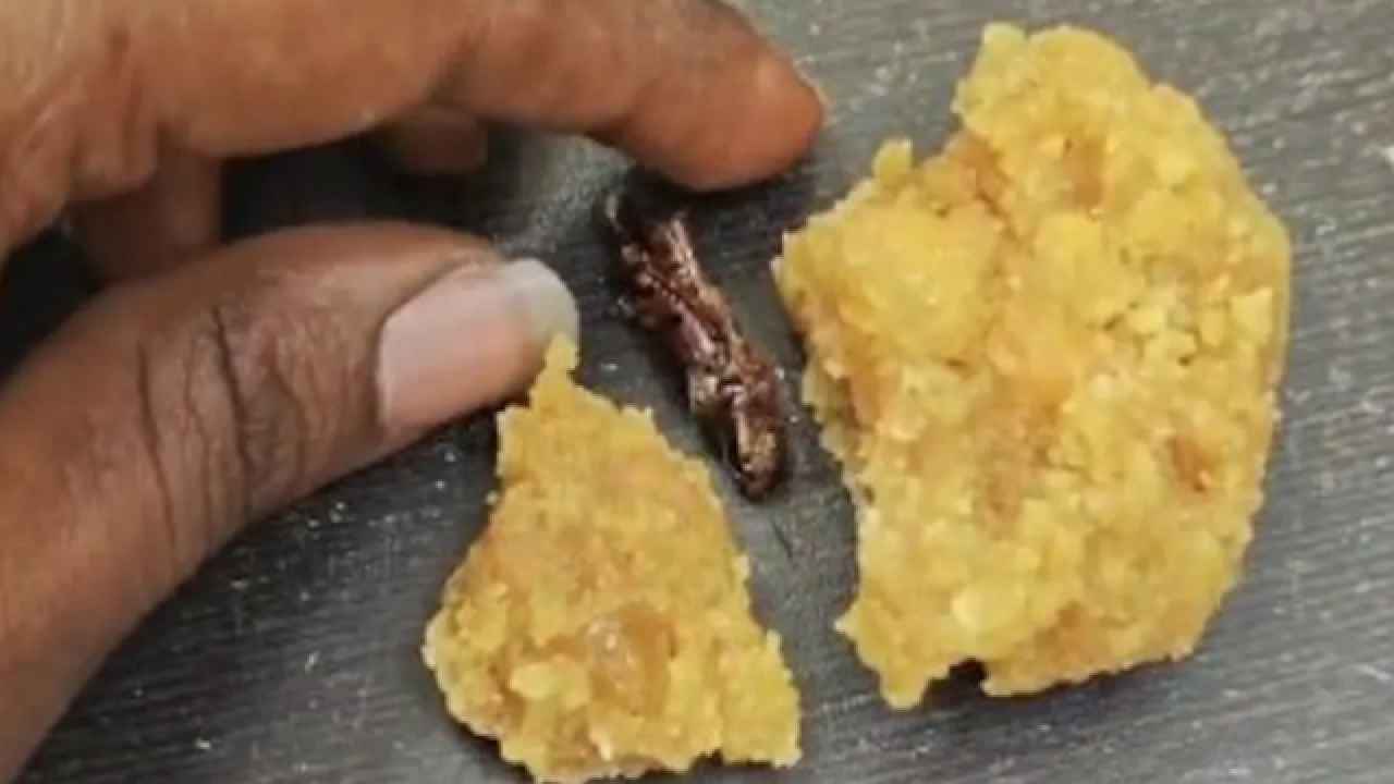 Srisailam Laddu Issue: శ్రీశైలం లడ్డూ ప్రసాదంలో బొద్దింక ఆరోపణల వెనుక కుట్ర కోణం..! సీసీటీవీ ఫుటేజ్తో బట్టబయలు.. Srisailam Laddu Issue: శ్రీశైలం లడ్డూ ప్రసాదంలో బొద్దింక ఆరోపణల వెనుక కుట్ర కోణం..! సీసీటీవీ ఫుటేజ్తో బట్టబయలు..