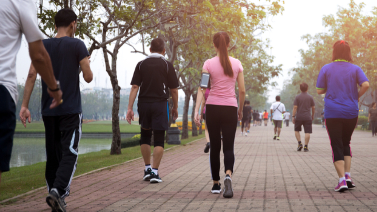 Walking Tips: ఎక్కువగా నడుస్తున్నారా.. ఈ లక్షణాలను గుర్తుపెట్టుకోండి.. నిపుణులు హెచ్చరిస్తున్నారు. Walking Tips: ఎక్కువగా నడుస్తున్నారా.. ఈ లక్షణాలను గుర్తుపెట్టుకోండి.. నిపుణులు హెచ్చరిస్తున్నారు.