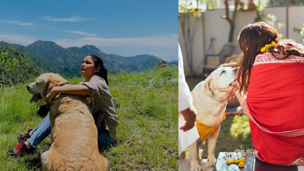 Lavanya Tripathi Emotional Post on her Pet Dog Passed Away