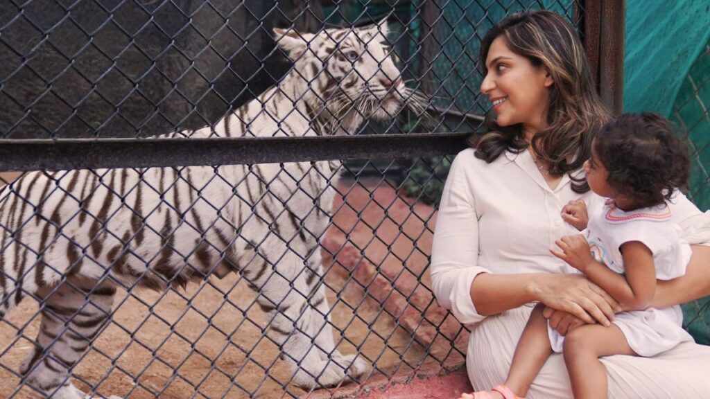 Hyderabad Zoo Park Named a Tiger Kid with Klin Kaara Upasana Shares Special Post