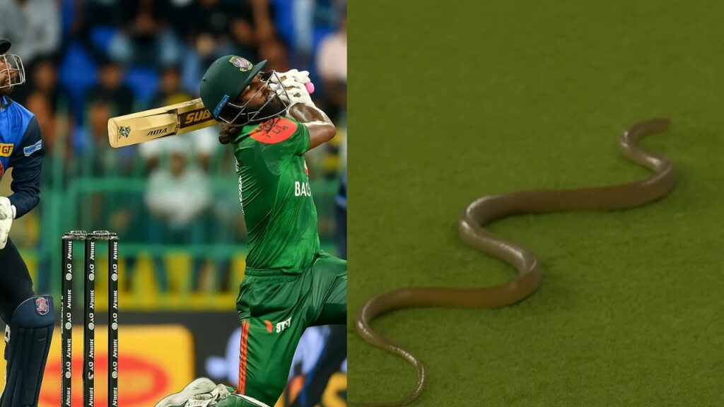 7 ft snake at SL vs BAN Match