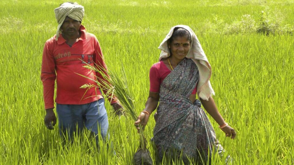 AP Farmers