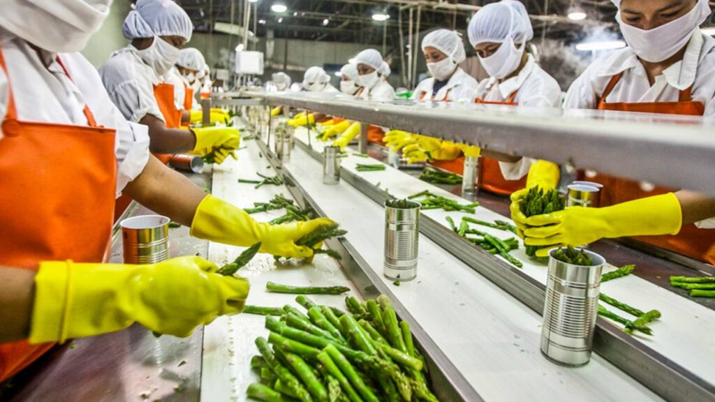 Agro processing units