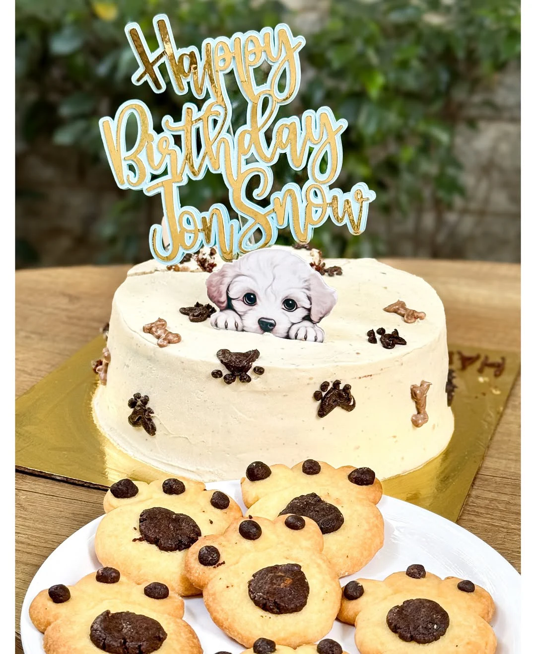 Andrea Jeremiah Celebrated her Pet Dog Birthday