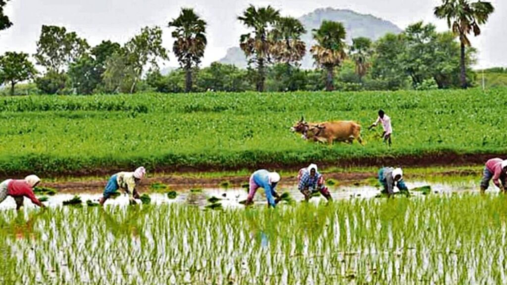 Annadata Sukhibhav scheme,