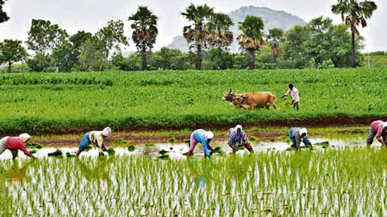 Annadata Sukhibhava: అన్నదాత సుఖీభవ పథకం.. రైతులకు బిగ్ అలర్ట్.. ఈ నెల 13వరకే అవకాశం.. Annadata Sukhibhava: అన్నదాత సుఖీభవ పథకం.. రైతులకు బిగ్ అలర్ట్.. ఈ నెల 13వరకే అవకాశం..