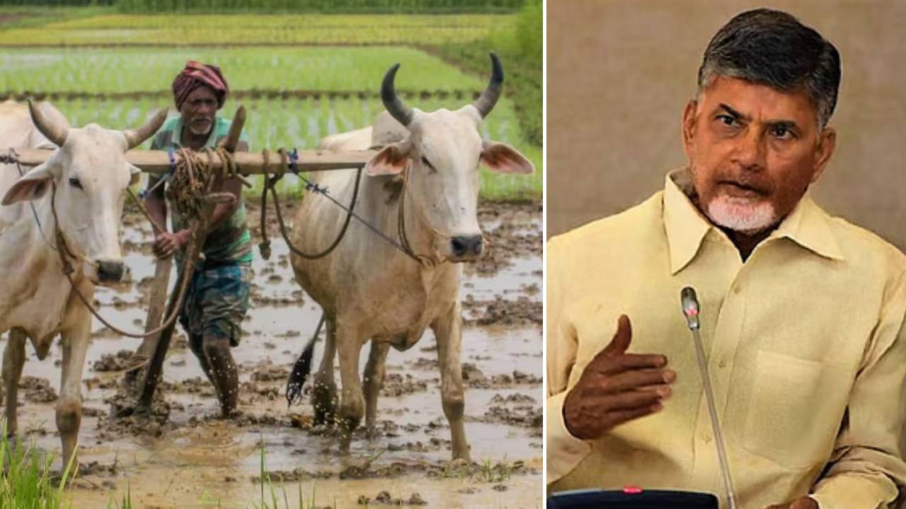 రైతులకు బిగ్ అలర్ట్.. రేపే చివరి తేదీ.. అన్నదాత సుఖీభవ లిస్ట్లో మీ పేరు లేకుంటే ఇలా చేయండి.. డబ్బులొచ్చేది ఆ రోజే.. రైతులకు బిగ్ అలర్ట్.. రేపే చివరి తేదీ.. అన్నదాత సుఖీభవ లిస్ట్లో మీ పేరు లేకుంటే ఇలా చేయండి.. డబ్బులొచ్చేది ఆ రోజే..