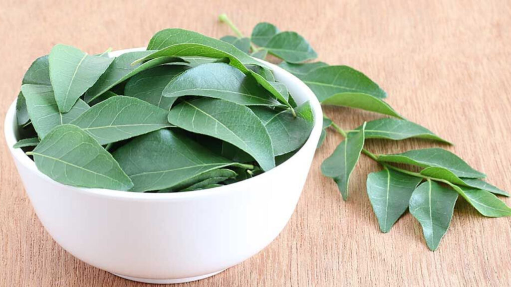 Health benefits of eating curry leaves daily