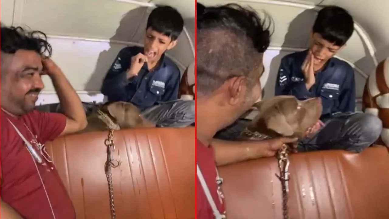 Dog Attack: వీడిని ఏం చేసినా పాపం లేదు.. బాలుడిపై కుక్క దాడి.. నవ్వుతూ యజమాని పైశాచిక ఆనందం.. Dog Attack: వీడిని ఏం చేసినా పాపం లేదు.. బాలుడిపై కుక్క దాడి.. నవ్వుతూ యజమాని పైశాచిక ఆనందం..