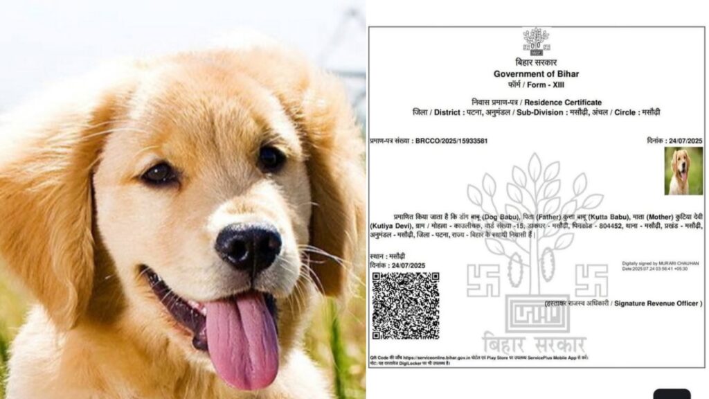 Residence certificate for ‘Dog Babu’ in Bihar