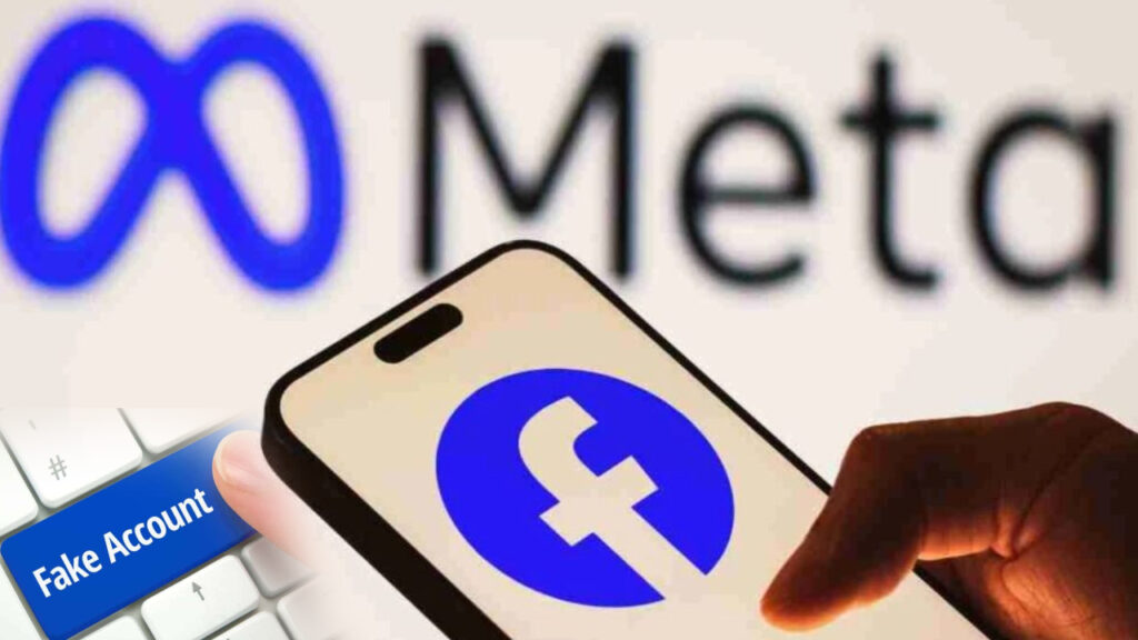 FB Fake Accounts