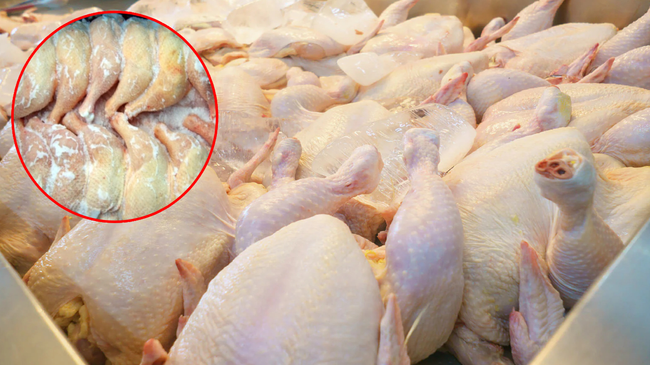 Frozen Chicken Disadvantages: ఫ్రోజెన్ చికెన్ తింటున్నారా? పెద్ద తప్పుచేస్తున్నారు.. ఈ జాగ్రత్తలు తప్పనిసరి Frozen Chicken Disadvantages: ఫ్రోజెన్ చికెన్ తింటున్నారా? పెద్ద తప్పుచేస్తున్నారు.. ఈ జాగ్రత్తలు తప్పనిసరి