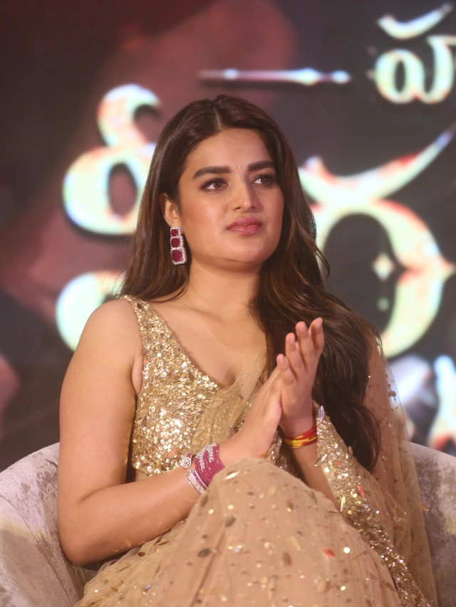 HariHara VeeraMallu Success Meet