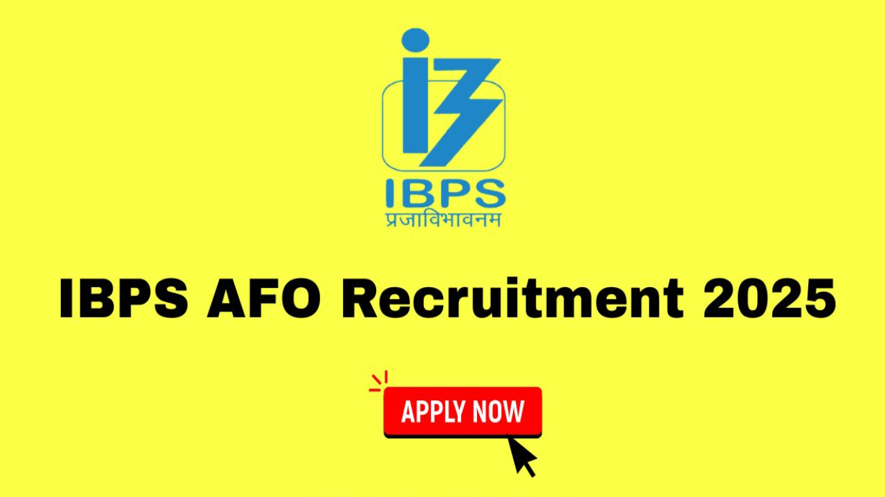 IBPS AFO Recruitment 2025: IBPS లో AFO జాబ్స్.. రూ.85 వేలు జీతం.. ఇలా అప్లై చేసుకోండి IBPS AFO Recruitment 2025: IBPS లో AFO జాబ్స్.. రూ.85 వేలు జీతం.. ఇలా అప్లై చేసుకోండి