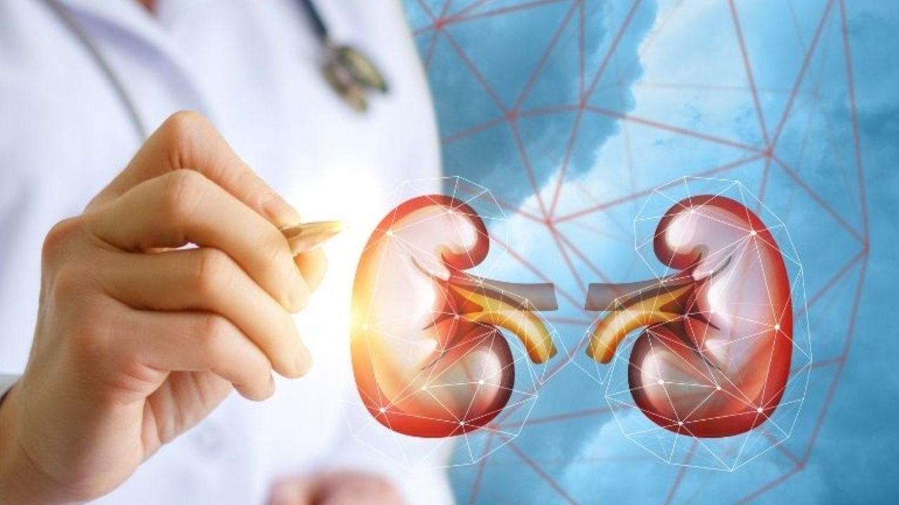 Kidney Disease Symptoms: కిడ్నీ సమస్యను గుర్తించే 5 లక్షణాలు.. ఇవి ప్రమాదానికి సంకేతం.. అస్సలు నిర్లక్ష్యం చేయకండి Kidney Disease Symptoms: కిడ్నీ సమస్యను గుర్తించే 5 లక్షణాలు.. ఇవి ప్రమాదానికి సంకేతం.. అస్సలు నిర్లక్ష్యం చేయకండి