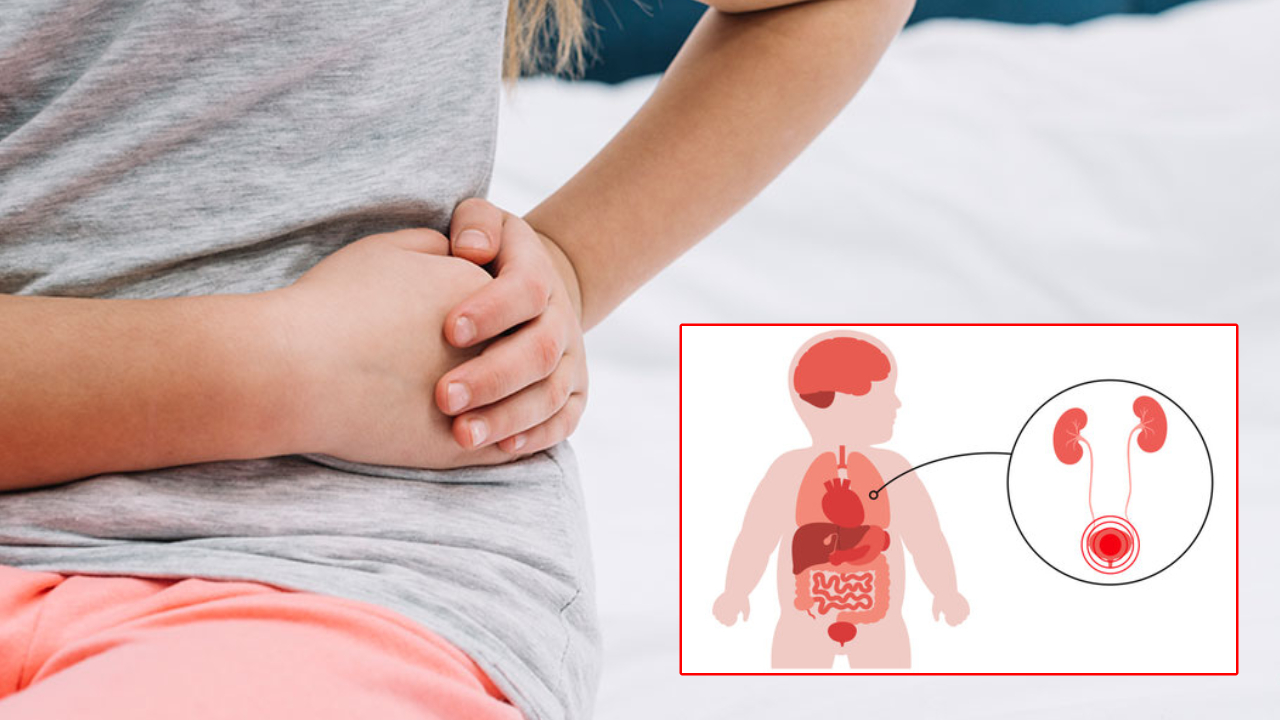 Kidney Stone Problem: చిన్న వయసులోనే కిడ్నీ రాళ్లు ఎందుకు వస్తున్నాయి? తెలుసుకోండి.. జాగ్రత్తలు పాటించండి Kidney Stone Problem: చిన్న వయసులోనే కిడ్నీ రాళ్లు ఎందుకు వస్తున్నాయి? తెలుసుకోండి.. జాగ్రత్తలు పాటించండి