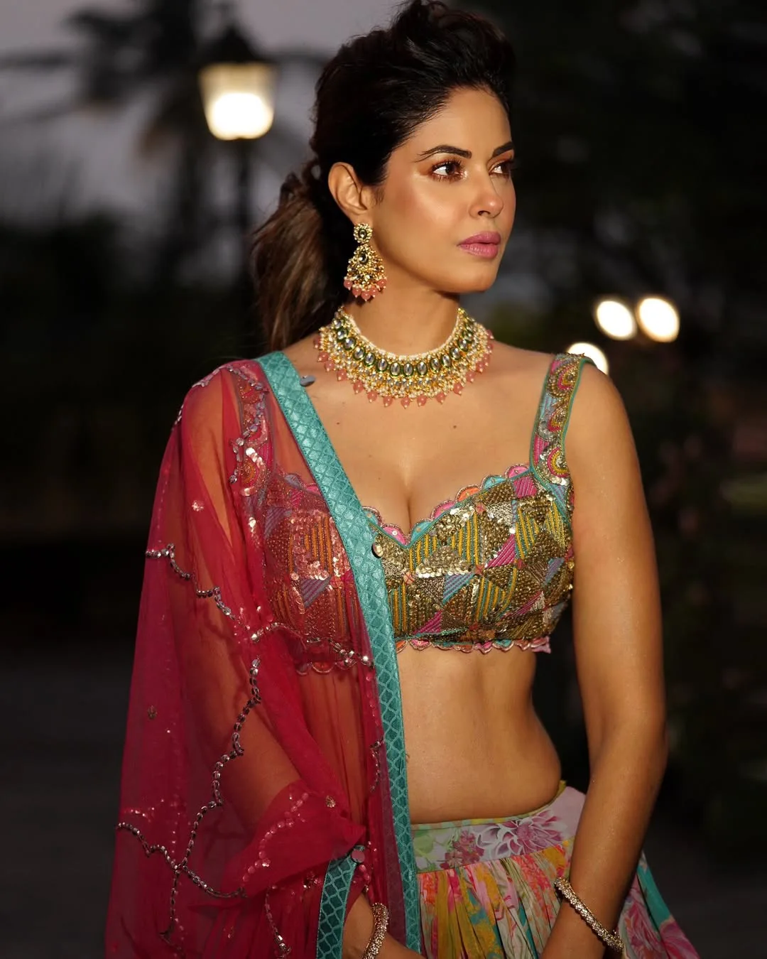 Bangaram Movie Fame Meera Chopra