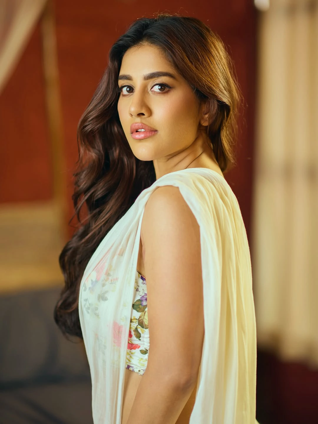 Nabha Natesh Shines in Saree