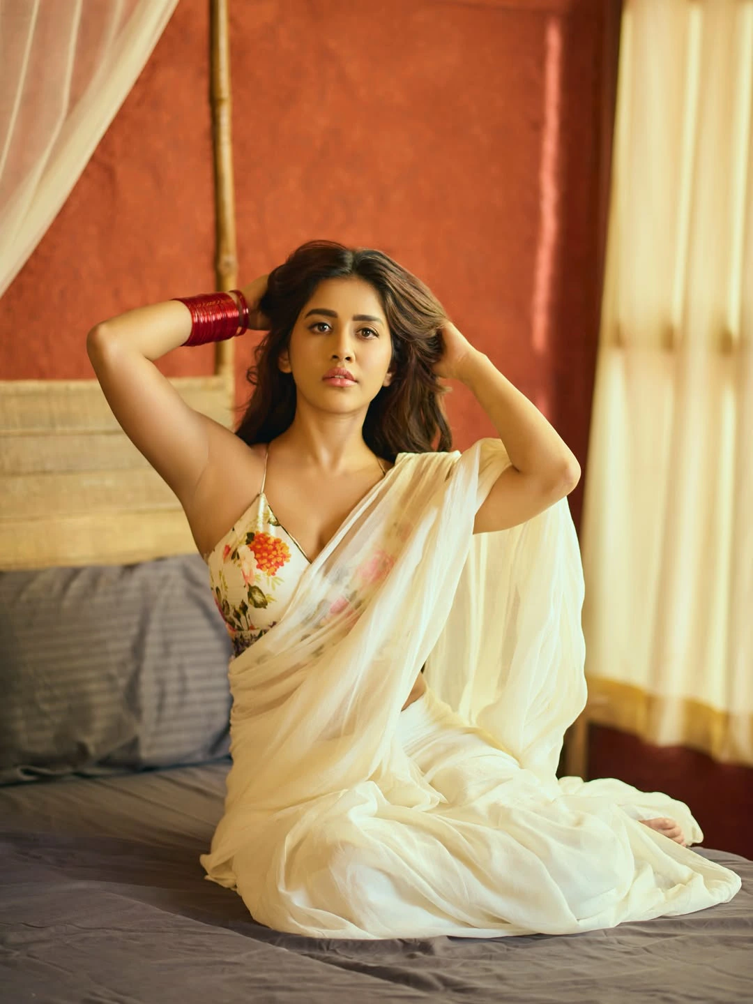 Nabha Natesh Shines in Saree