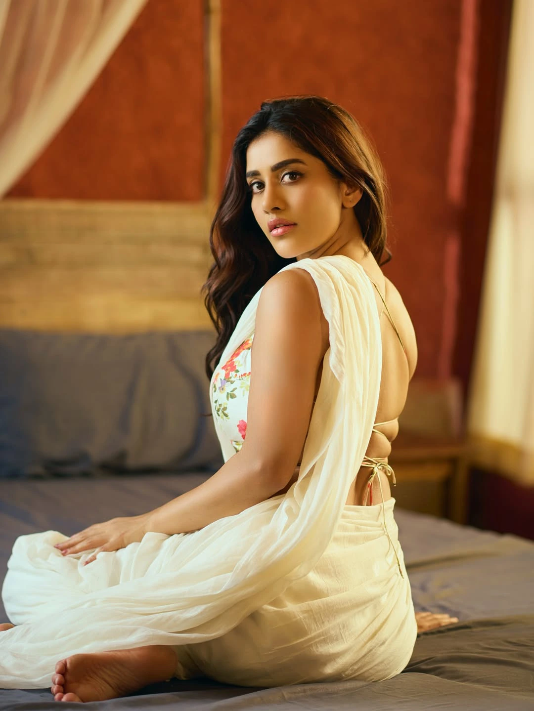 Nabha Natesh Shines in Saree