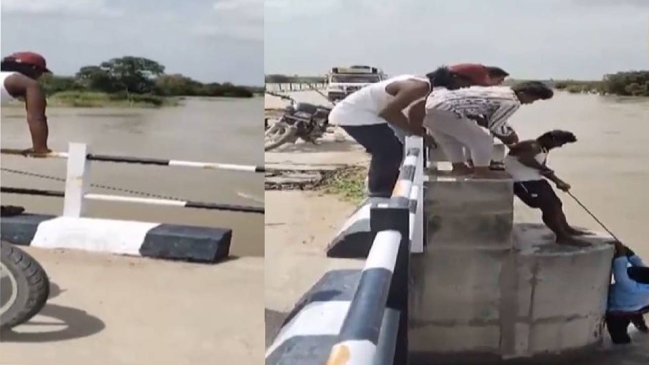 సెల్ఫీ దిగుదామని తీసుకెళ్లి.. భర్తను నదిలో తొసేసిన భార్య.. ఆ తర్వాత జరిగిందిదే.. వీడియో చూశారా? సెల్ఫీ దిగుదామని తీసుకెళ్లి.. భర్తను నదిలో తొసేసిన భార్య.. ఆ తర్వాత జరిగిందిదే.. వీడియో చూశారా?