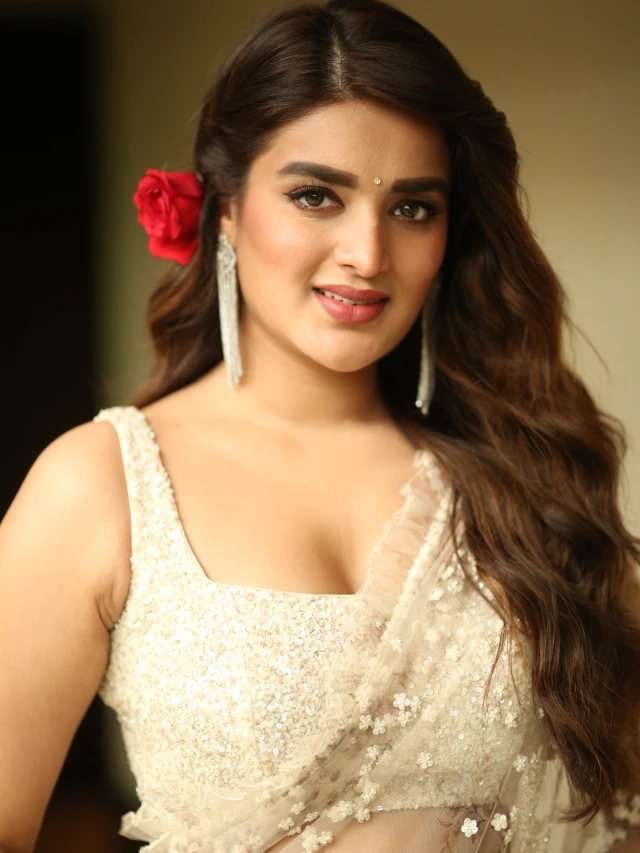 Nidhhi Agerwal Shines in Saree at Hari Hara VeeraMallu Press Meet