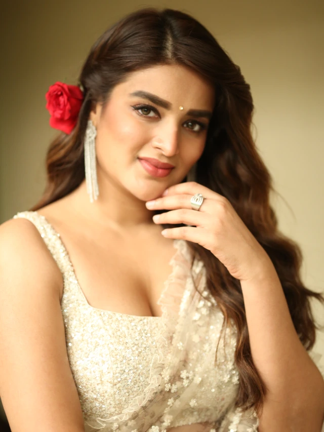 Nidhhi Agerwal Shines in Saree at Hari Hara VeeraMallu Press Meet