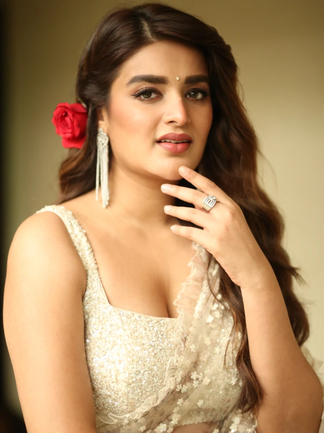 Nidhhi Agerwal Shines in Saree at Hari Hara VeeraMallu Press Meet