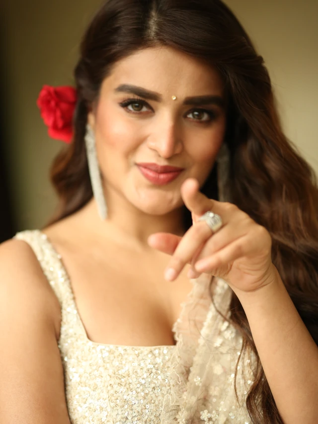 Nidhhi Agerwal Shines in Saree at Hari Hara VeeraMallu Press Meet
