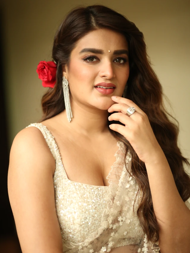 Nidhhi Agerwal Shines in Saree at Hari Hara VeeraMallu Press Meet