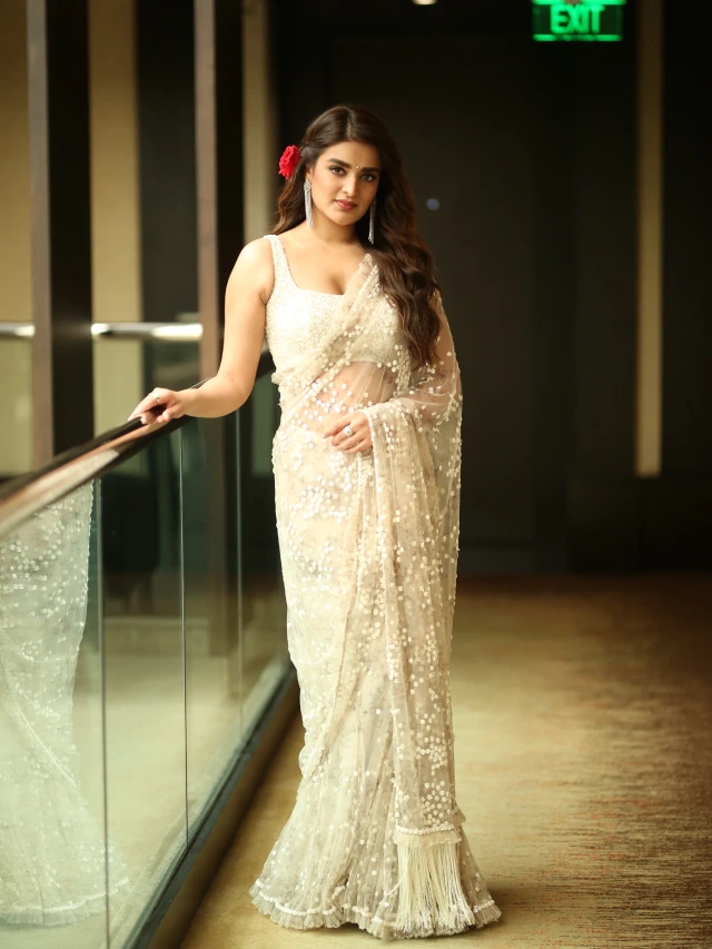 Nidhhi Agerwal Shines in Saree at Hari Hara VeeraMallu Press Meet