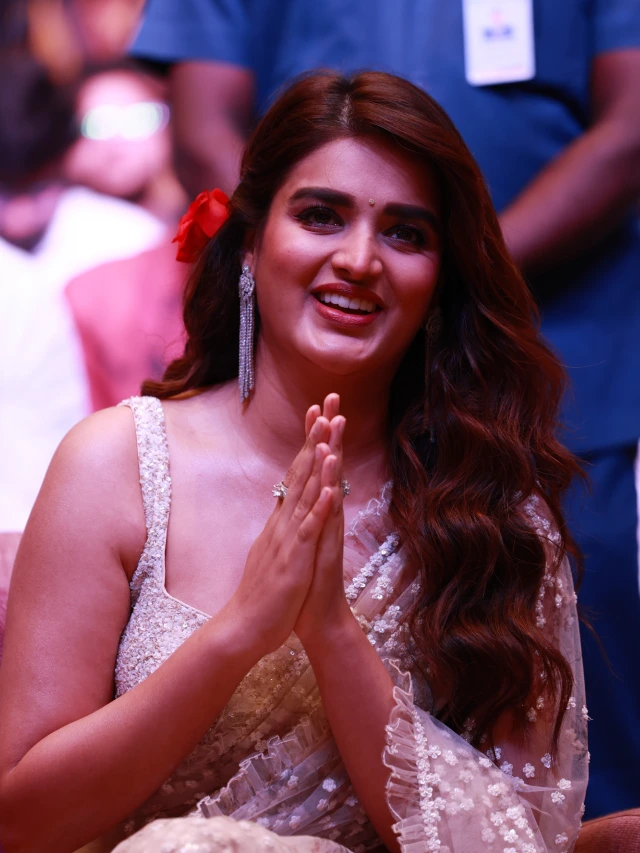 Nidhhi Agerwal Shines in Saree at Hari Hara VeeraMallu Press Meet