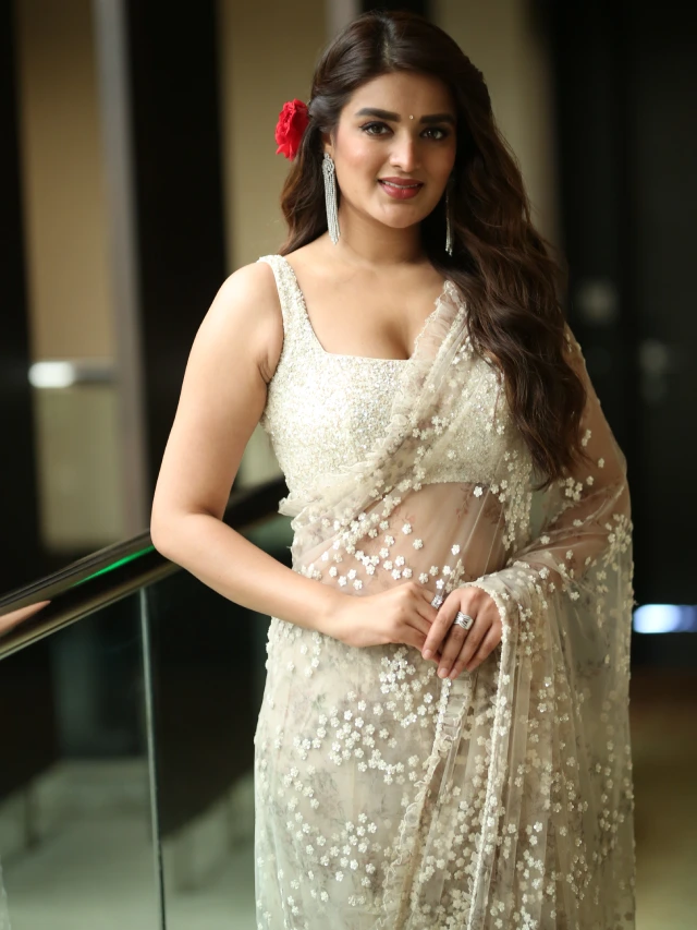 Nidhhi Agerwal Shines in Saree at Hari Hara VeeraMallu Press Meet
