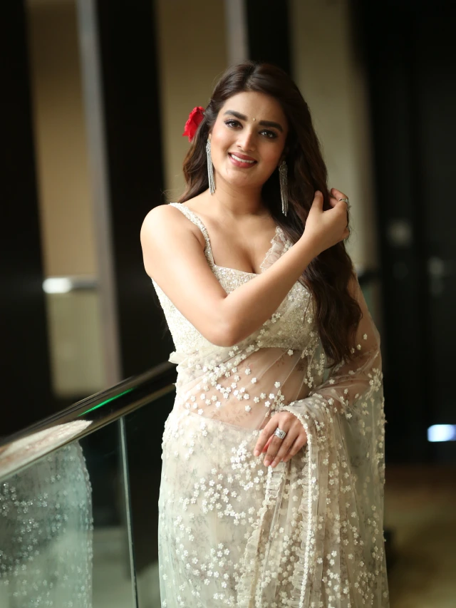 Nidhhi Agerwal Shines in Saree at Hari Hara VeeraMallu Press Meet
