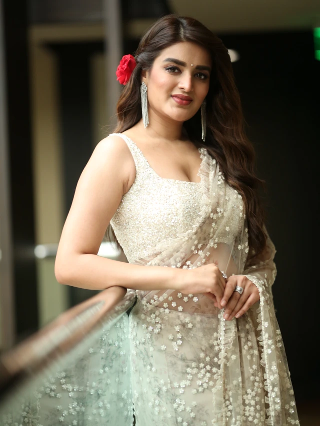 Nidhhi Agerwal Shines in Saree at Hari Hara VeeraMallu Press Meet