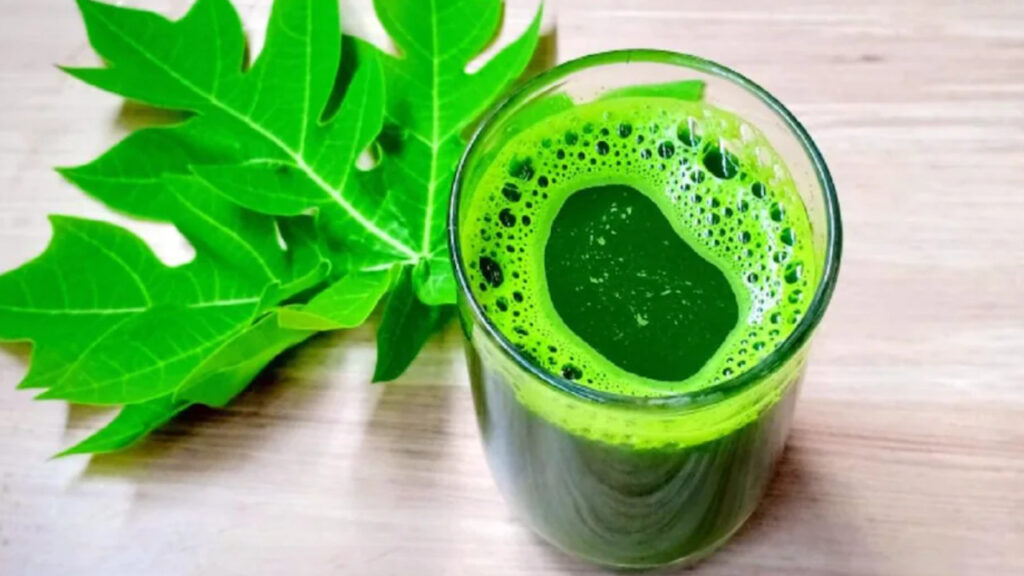 Health benefits of drinking papaya leaf juice