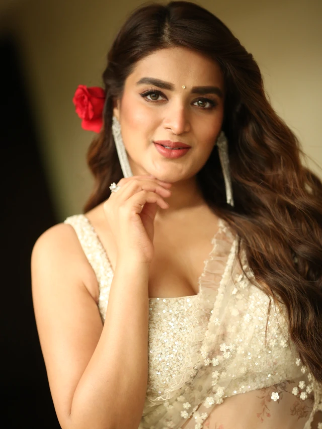 Pawan Kalyan Hari Hara Veeramallu Movie Press Meet