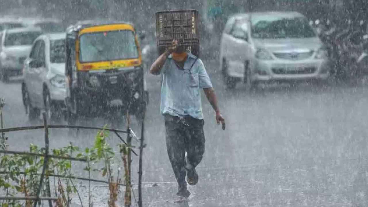 Telangana Rains: తెలంగాణకు రెయిన్ అలర్ట్.. మూడు రోజులు వర్షాలు.. ఆ జిల్లాలకు ఎల్లో అలర్ట్ జారీ.. Telangana Rains: తెలంగాణకు రెయిన్ అలర్ట్.. మూడు రోజులు వర్షాలు.. ఆ జిల్లాలకు ఎల్లో అలర్ట్ జారీ..