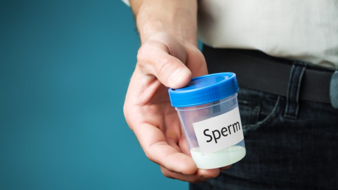 Sperm Count: వీర్యకణాలు త్వరగా పెరగాలంటే ఇలా చేయండి.. రిజల్ట్ చూసి ఎగిరి గంతేస్తారు Sperm Count: వీర్యకణాలు త్వరగా పెరగాలంటే ఇలా చేయండి.. రిజల్ట్ చూసి ఎగిరి గంతేస్తారు