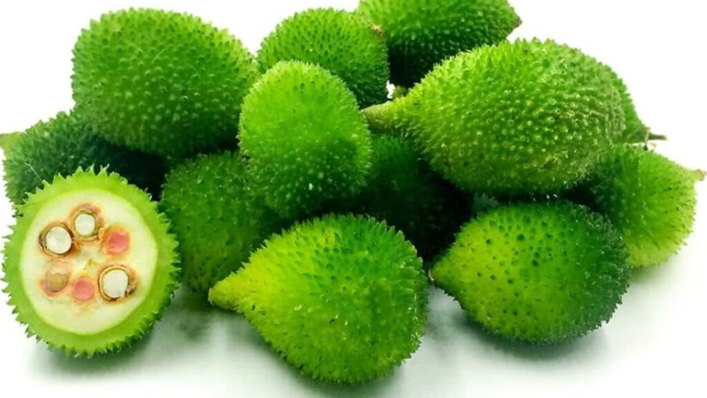 Health benefits of eating bodakakarakaya
