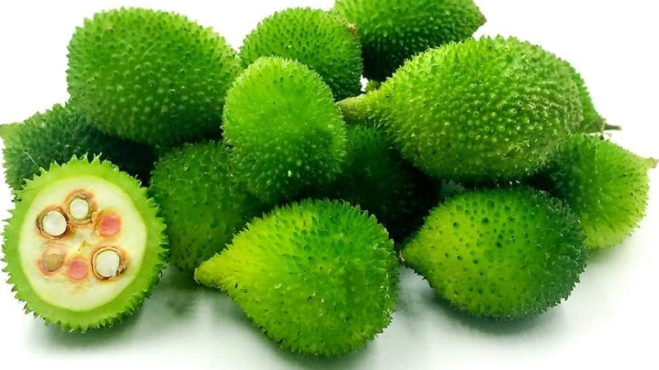 Spiny Gourd Benefits: చిన్న కాయలో గొప్ప ఆరోగ్యం.. షుగర్ మొత్తం కంట్రోల్.. ఎన్నో అద్భుతాలు Spiny Gourd Benefits: చిన్న కాయలో గొప్ప ఆరోగ్యం.. షుగర్ మొత్తం కంట్రోల్.. ఎన్నో అద్భుతాలు