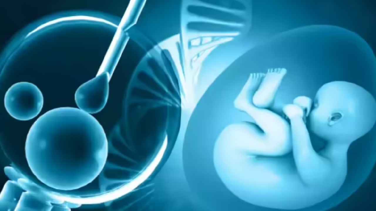 Srushti Fertility Center: సరోగసీ పేరుతో రూ.40 లక్షలు వసూలు, మరో మహిళకు పుట్టిన బిడ్డ అప్పగింత.. సృష్టి ఫెర్టిలిటీ సెంటర్ కేసులో షాకింగ్ నిజాలు Srushti Fertility Center: సరోగసీ పేరుతో రూ.40 లక్షలు వసూలు, మరో మహిళకు పుట్టిన బిడ్డ అప్పగింత.. సృష్టి ఫెర్టిలిటీ సెంటర్ కేసులో షాకింగ్ నిజాలు